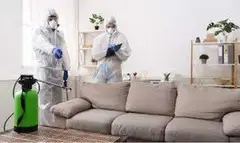 # Pest Control – Best Prices I Quality - 2