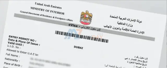 Dubai 2 and 3 year freelance/residence visa available - 1/1