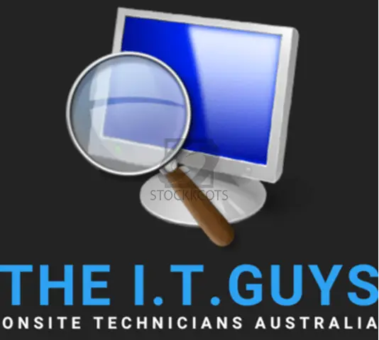 The I.T. Guys - 1