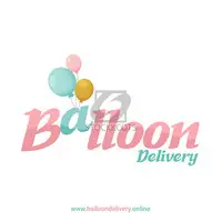 Buy Supershape Balloons & Airloonz Online