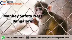 Monkey Safety Nets Bangalore - 1