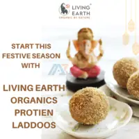 A delicious way to get Proteins in your diet with LIving Earth Organics Nutri-Melts Ladoos - 1