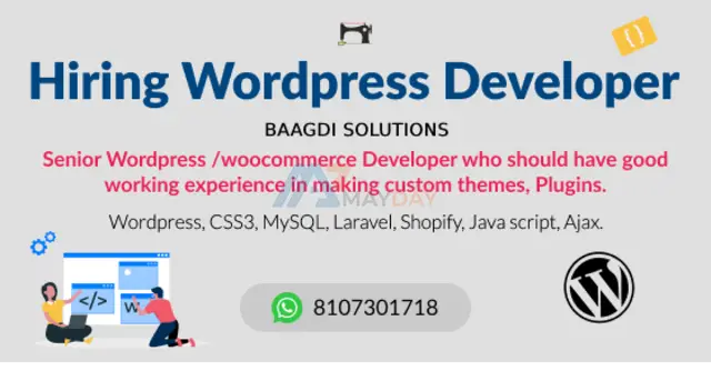 Hiring experienced Wordpress developer at Baagdi Solutions SGNR - 1
