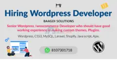 Hiring experienced Wordpress developer at Baagdi Solutions SGNR