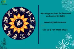 Astrology services for business and career in Delhi. - 1
