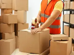 FedEx Courier Gurgaon