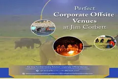 Corporate Offsite Venues In Jim Corbett