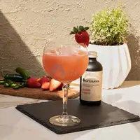Buy Premium Natural Cocktail Mixers Online - Bartisans - 1