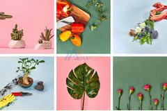 Order Flowers & Plant Online - Farmerr - 1