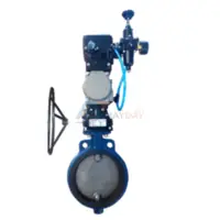 Top Butterfly Valve Manufacturers, Suppliers and Exporters in India