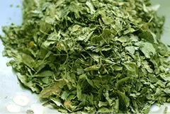 Bulk moringa dried leaves at best price | Moringa Wholesale - 2