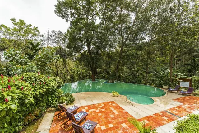Windflower Resorts and Spa Coorg, Karnataka, the Best Coorg Resorts, and the Cheapest Homestay - 1