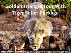 Golden Triangle Tour With Tiger Safari Package