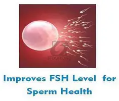 Male Infertility Treatment in India - 1