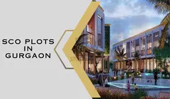 Sco Plots in Gurgaon A Perfect Opprtunity For Your Business
