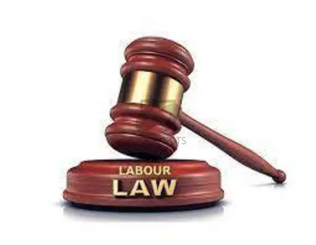 Labour law consultant - 1
