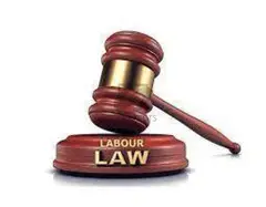 Labour law consultant - 1