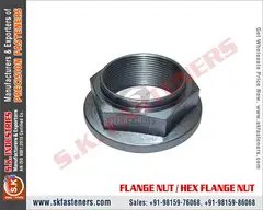 Hex Nuts - 4
