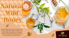 Natural Wild Honey - 1