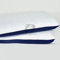 Latex and Memory Foam Pillow - 1