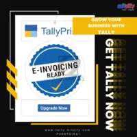 TALLY SOFTWARE SALES AND SERVICE - 1
