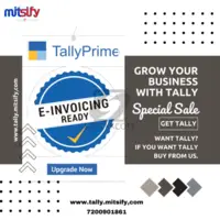 TALLY SOFTWARE SALES AND SERVICE - 2