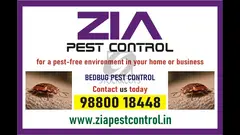 Bedbug treatment Upto 30% Off  | Paying Guest | 1917 | Office