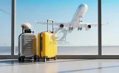 OLC Shipping Line provides professional Excess Baggage Air & shipping services