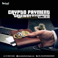 Crypto payment gateway developement