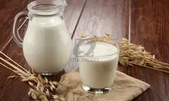 Ahmedabad's Finest Gir Cow Milk: Pure, Nutritious, and Delivered Fresh - 1
