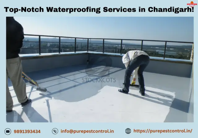 Get Expert Waterproofing Services Now in Chandigarh! - 1