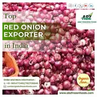 Find Top Red Onion Exporter in India - 1