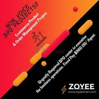 ecommerce campaign available on zoyeeoutsource