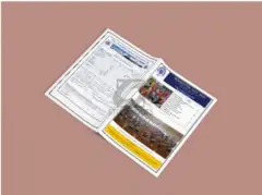 Premium A4 Newsletter Printing Service: Your Voice in Every Page - 1