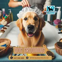 Dog Grooming - 1