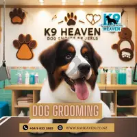 Dog Grooming Auckland - 1