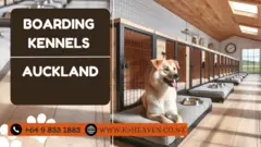 Dog Kennels Auckland