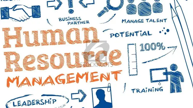 Get BookMyEssay Human Resource Management Assignment Help for Academic Brilliance! - 1