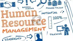 Get BookMyEssay Human Resource Management Assignment Help for Academic Brilliance!