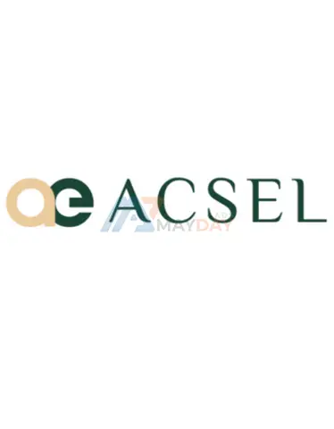 Why you should hire a business management consultancy - Acsel - 1