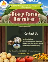 Top diary farm recruitment agency in Qatar - 1