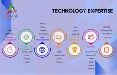 Top Event App Development Company in Qatar | Appsinvo