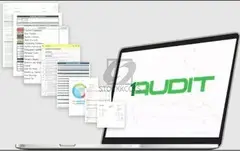 Audit Software For External Audit