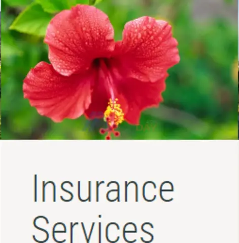 Medical Insurance in Kauai, HI - 1