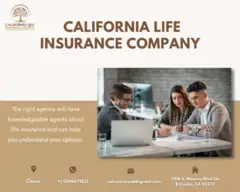 Life Insurance Companies in California - 2