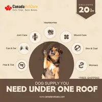 Canadavetcare : Exciting 20% Off and Free Shipping On Dog Supply