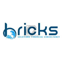 Empower Your Financial Future with Bricks Consultancy: Dubai's Premier Advisory Firm! - 1
